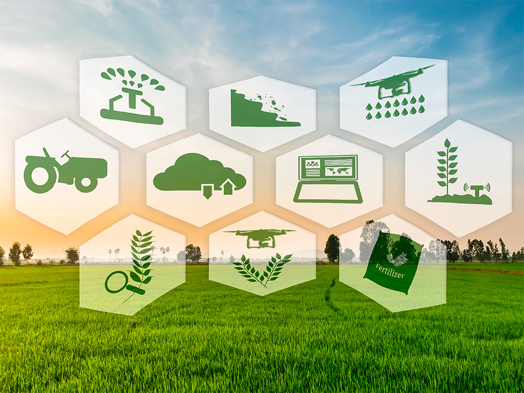 002593 - Planejamento Administrativo em Agronegócio - 2022/2:Tecnologia em Horticultura, Tecnologia, 6º Período, Turno Noturno (2022)