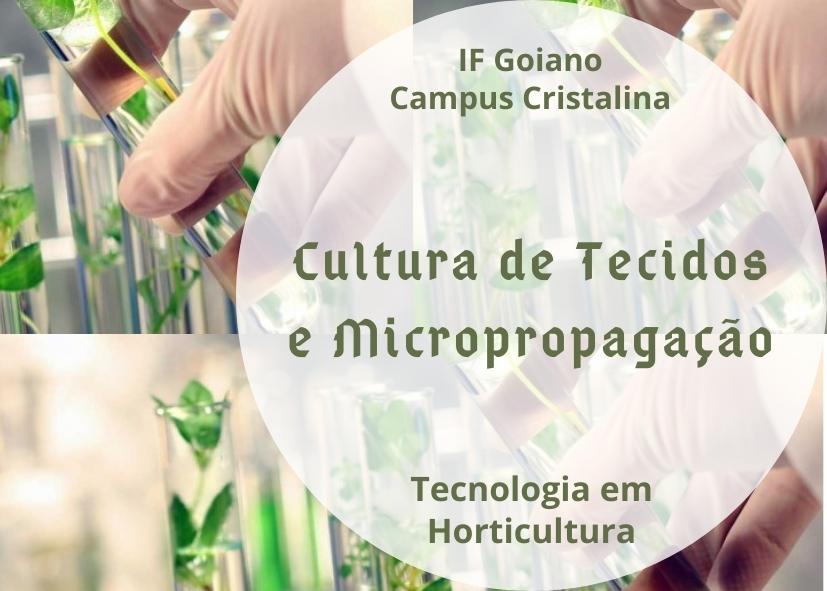 002586 - Cultura de Tecidos e Micropropagação - 2022/2:Tecnologia em Horticultura, Tecnologia, 6º Período, Turno Noturno (2022)