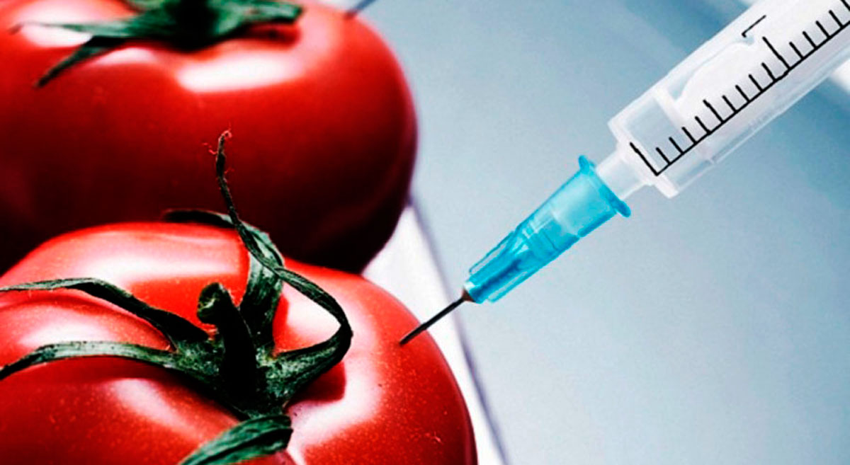 Técnico em Alimentos Noturno - Rio Verde - 20222.02ALI11N.4N - 2022/2 ( 4º período ) - 190111 - Métodos de Conservação de Alimentos