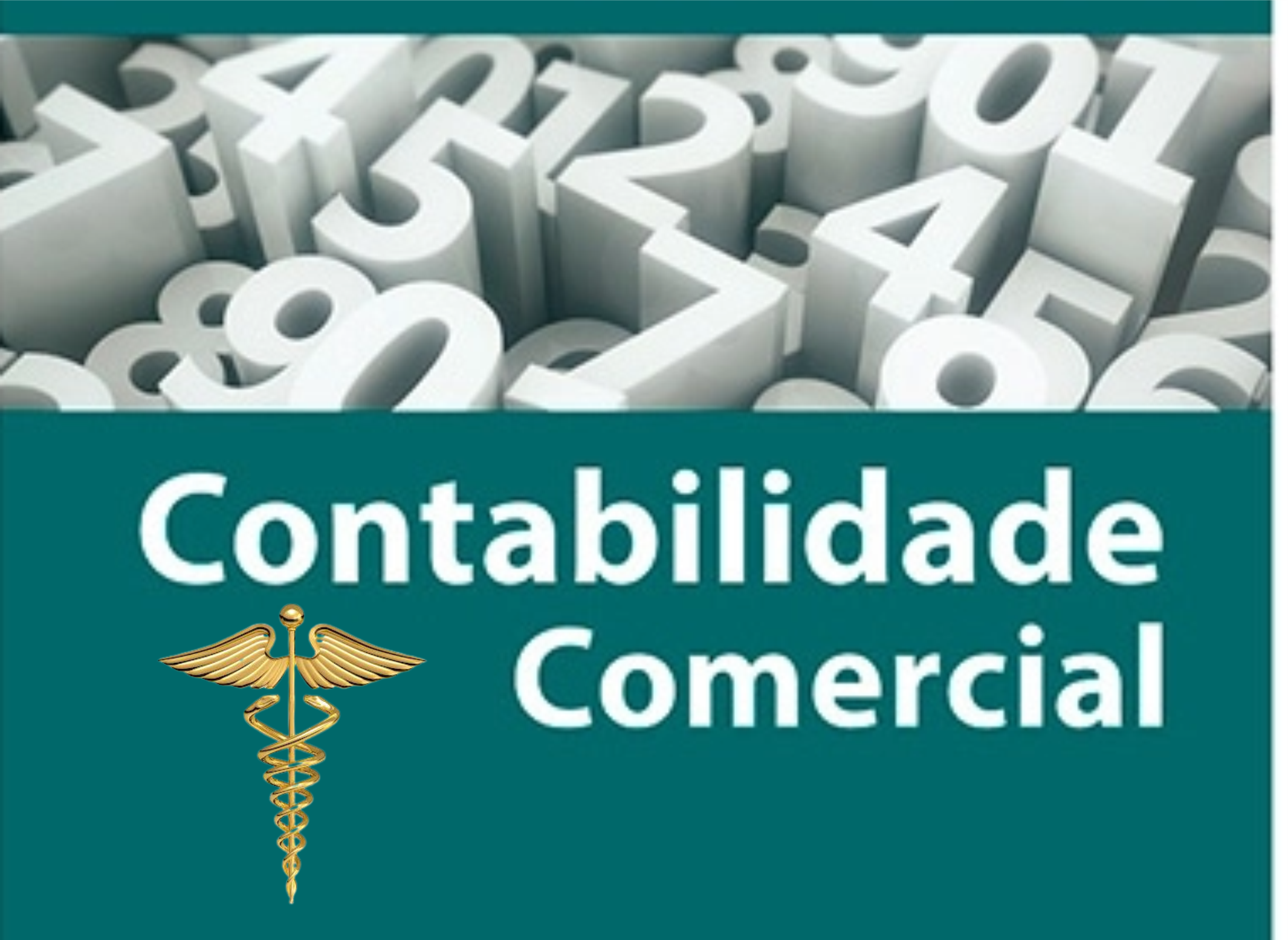 Técnico em Contabilidade Noturno - Rio Verde - 20222.02COT11N.2N - 2022/2 ( 2º período ) - 190126 - Contabilidade Comercial