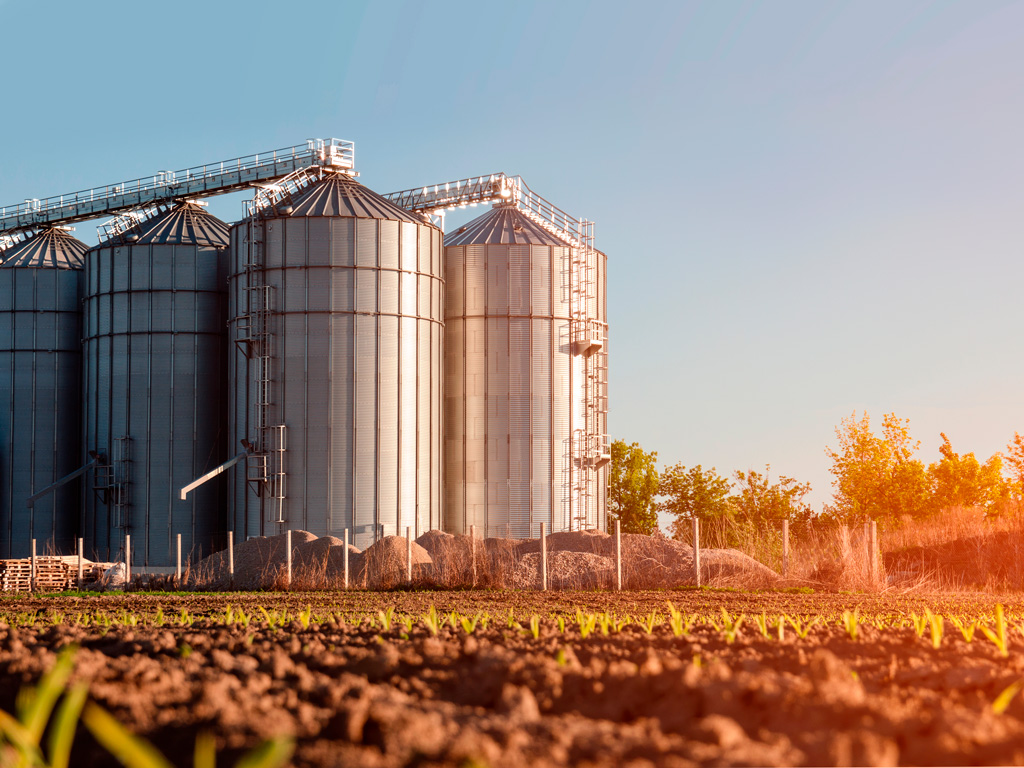 Bacharelado em Agronomia - Ceres - 20222.03AGR20I.8G - 2022/2 ( 8º período ) - 188344 - Secagem e Armazenamento de Grãos