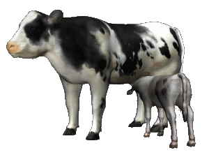 Bacharelado em Engenharia de Alimentos - Rio Verde - 20222.02ALI20I.8 - 2022/2 ( 8º período ) - 188928 - Tecnologia de Leite e Derivados