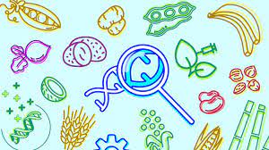 002569 - Melhoramento de Plantas - 2022/2:Bacharelado em Agronomia, Bacharelado, 6º Período, Turno Integral (2022)