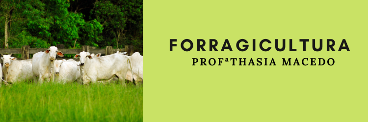 002786 - Forragicultura - 2022/2:Técnico em Agropecuária, Técnico Concomitante, 3º Período, Turno Matutino (2022)