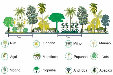 003139 - Agricultura Geral - 2022/1:Técnico em Agropecuária Integrado ao Ensino Médio, Integrado, 1º Período, Turno Matutino (2022)