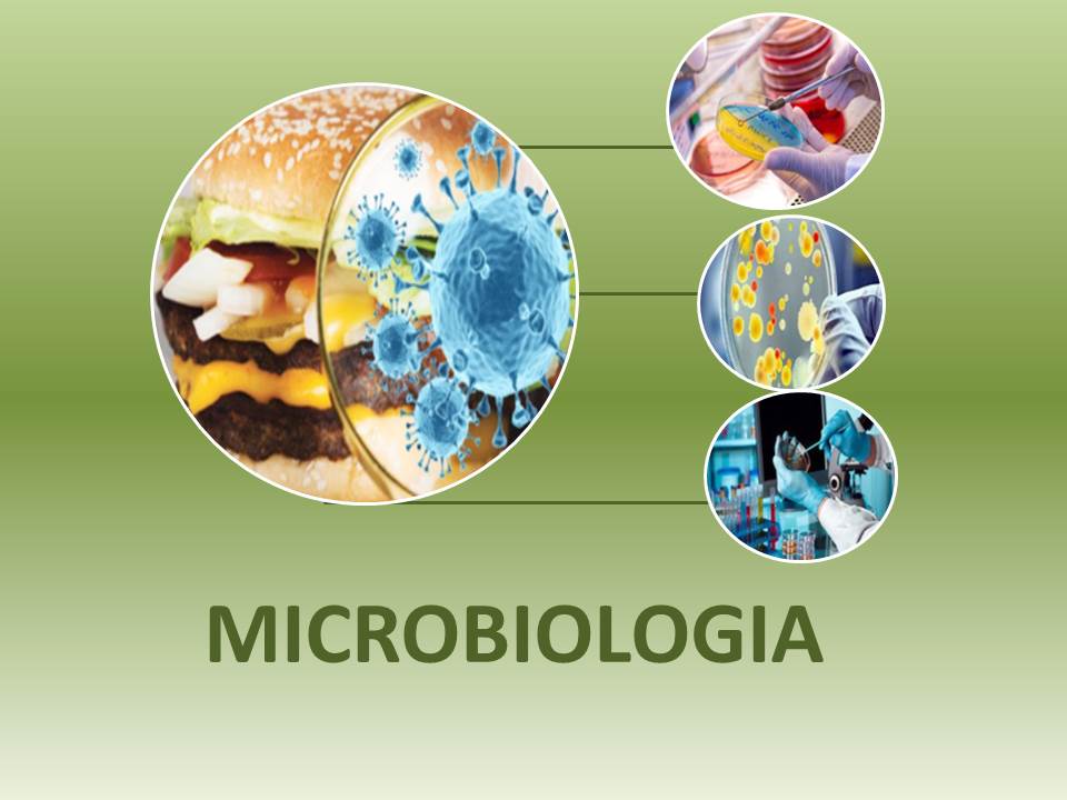Técnico Integrado em Alimentos - Morrinhos - 2021/1_ALI_1 - 2021/1 ( 1º período ) - 161739 - Microbiologia
