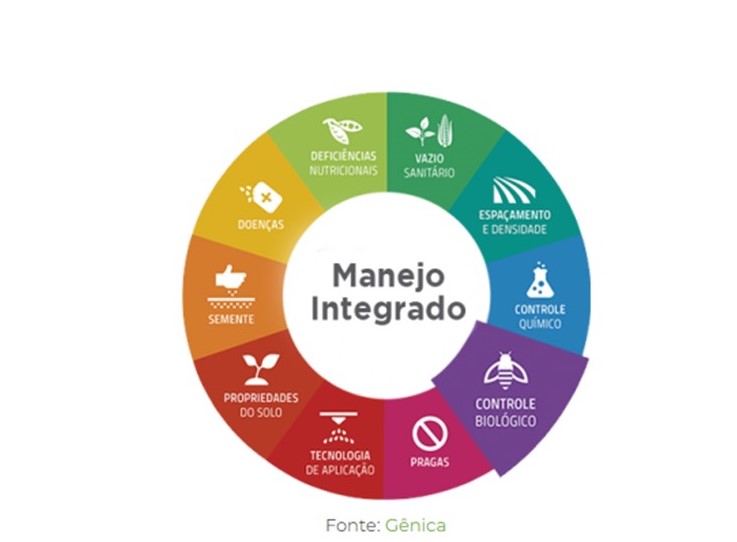 003094 - Manejo Integrado de Pragas - 2022/2:Mestrado Profissional em Olericultura, Mestrado, 2º Período, Turno Diurno (2022)
