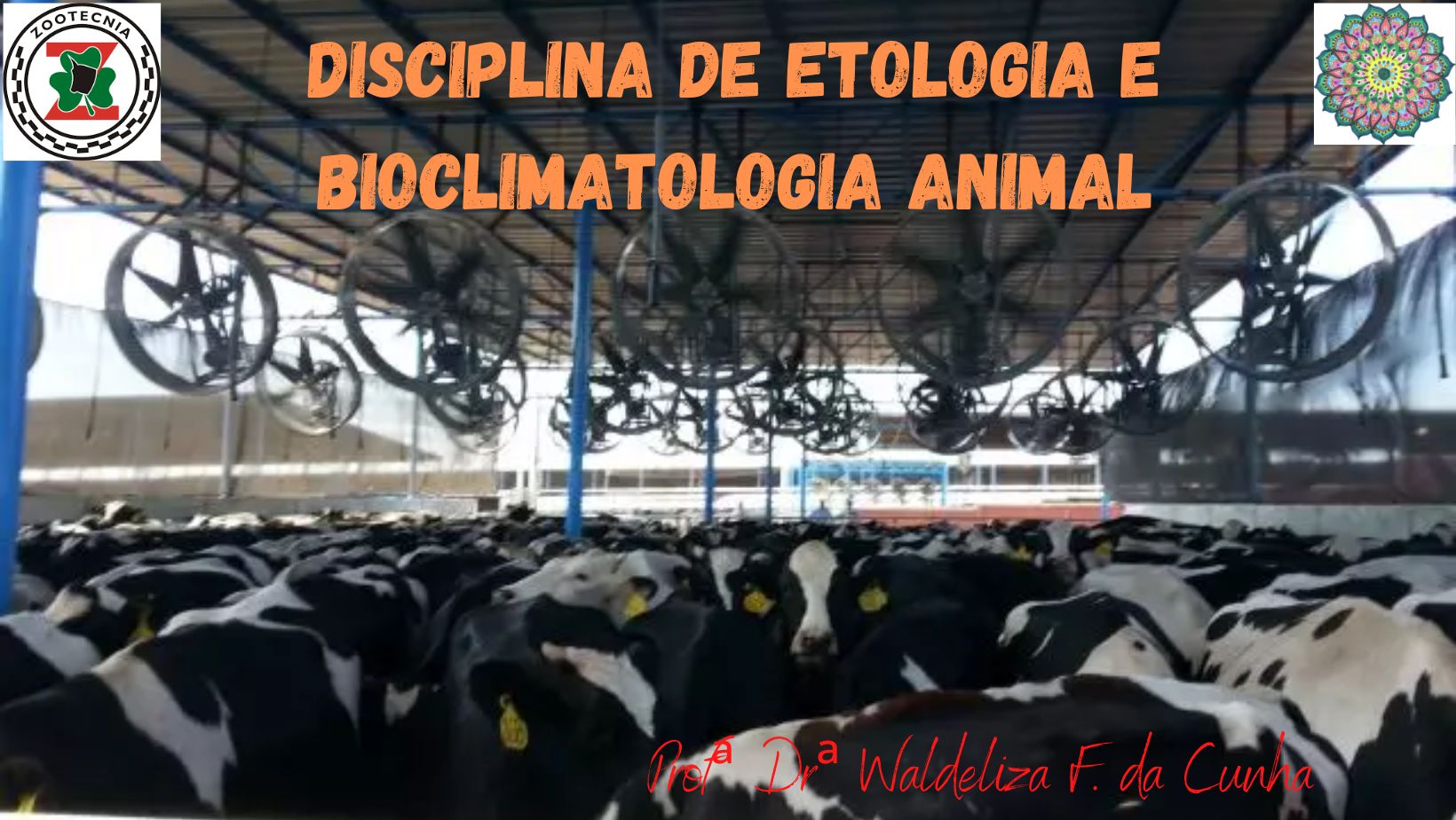 Bacharelado em Zootecnia - Ceres - 20222.03ZOO20I.6 - 2022/2 ( 6º período ) - 188156 - Bioclimatologia e Etologia Animal