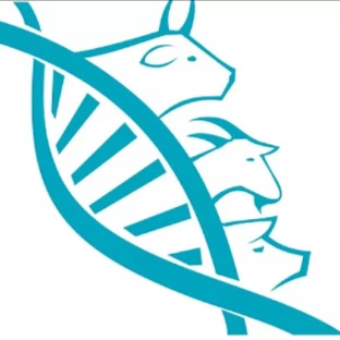 Bacharelado em Zootecnia - Morrinhos - 20211.04ZOO20M.7 - 2021/1 ( 7º período ) - 161841 - Melhoramento Animal Aplicado