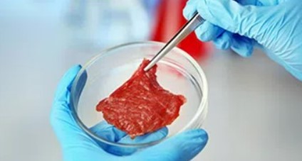 004966 - [MO.2ZOO3] Microbiologia - 2023/1:Bacharelado em Zootecnia, Bacharelado, 3º Período, Turno Diurno (2023)