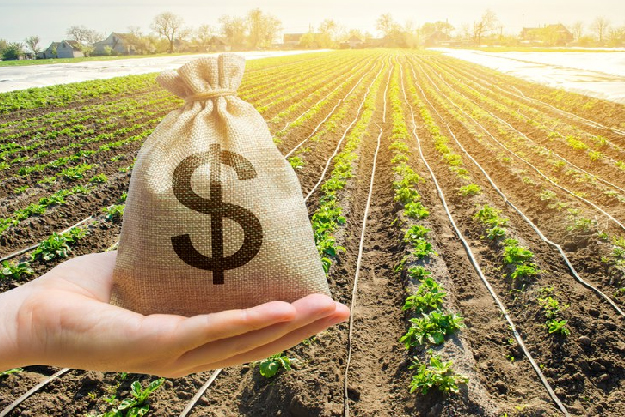 003769 - Elaboração Análise e Gerenciamento de Projetos - 2023/1:Bacharelado em Agronomia, Bacharelado, 7º Período, Turno Integral (2023)