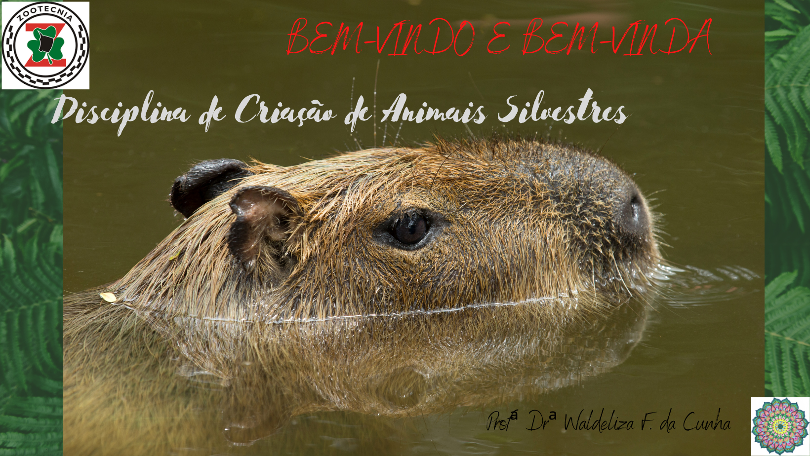 Bacharelado em Zootecnia - Integral - Ceres - 20211.03ZOO20I.7G - 2021/1 ( 7º período ) - 161130 - Criação de Animais Silvestres