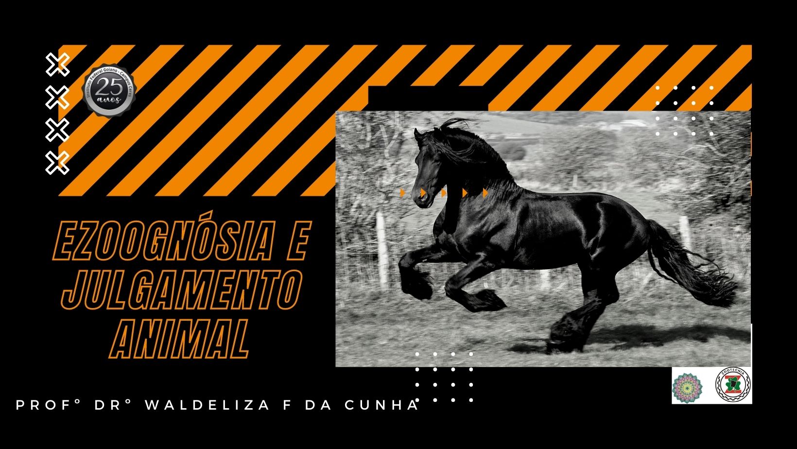 Bacharelado em Zootecnia - Integral - Ceres - 20211.03ZOO20I.7G - 2021/1 ( 7º período ) - 161131 - Ezoognósia e Julgamento de Animais