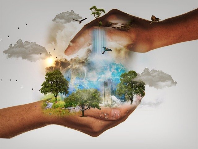 006775 - Administração e Sustentabilidade - 2023/1:Bacharelado em Administração, Bacharelado, 5º Período, Turno Noturno (2023)