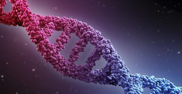 Bacharelado em Ciências Biológicas - Rio Verde - 20231.02BIO23I.3 - 2023/1 ( 3º período ) - 196056 - Genética II