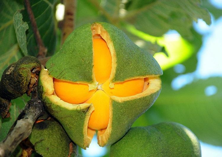 Biologia III - 3ºB - 2023/1