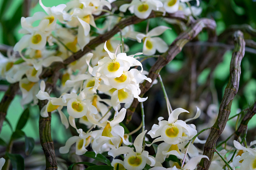 Biologia III - 3ºA - 2023/1