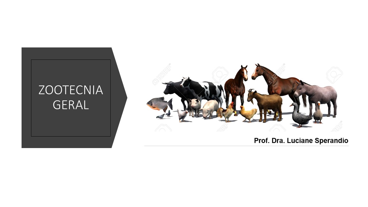 006679 - Zootecnia Geral - 2023/1:Técnico em Agropecuária, Técnico Concomitante, 1º Período, Turno Vespertino (2023)