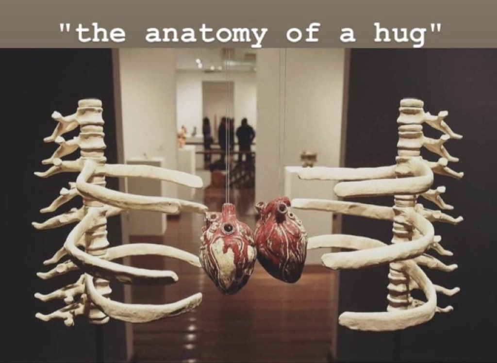 Graduação em Educação Física - Noturno - Urutaí 2020/1 - 20211.01LEF23N.3N - 2021/1 ( 3º período ) - 160752 - Anatomia Humana II