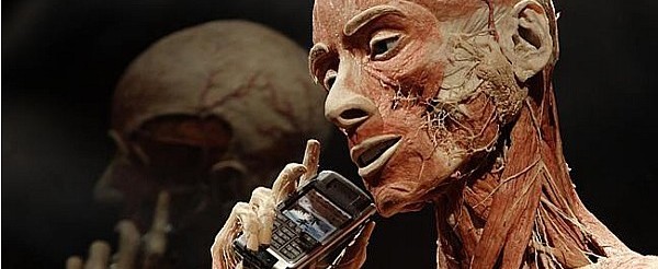 007307 - Anatomia Humana - 2023/1:Bacharelado em Nutrição, Bacharelado, 1º Período, Turno Integral (2023)