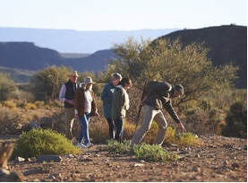 007633 - Aspectos botânicos regionais - 2023/1:Condutor Turístico, FIC, 1º Período, Turno EAD (2023)