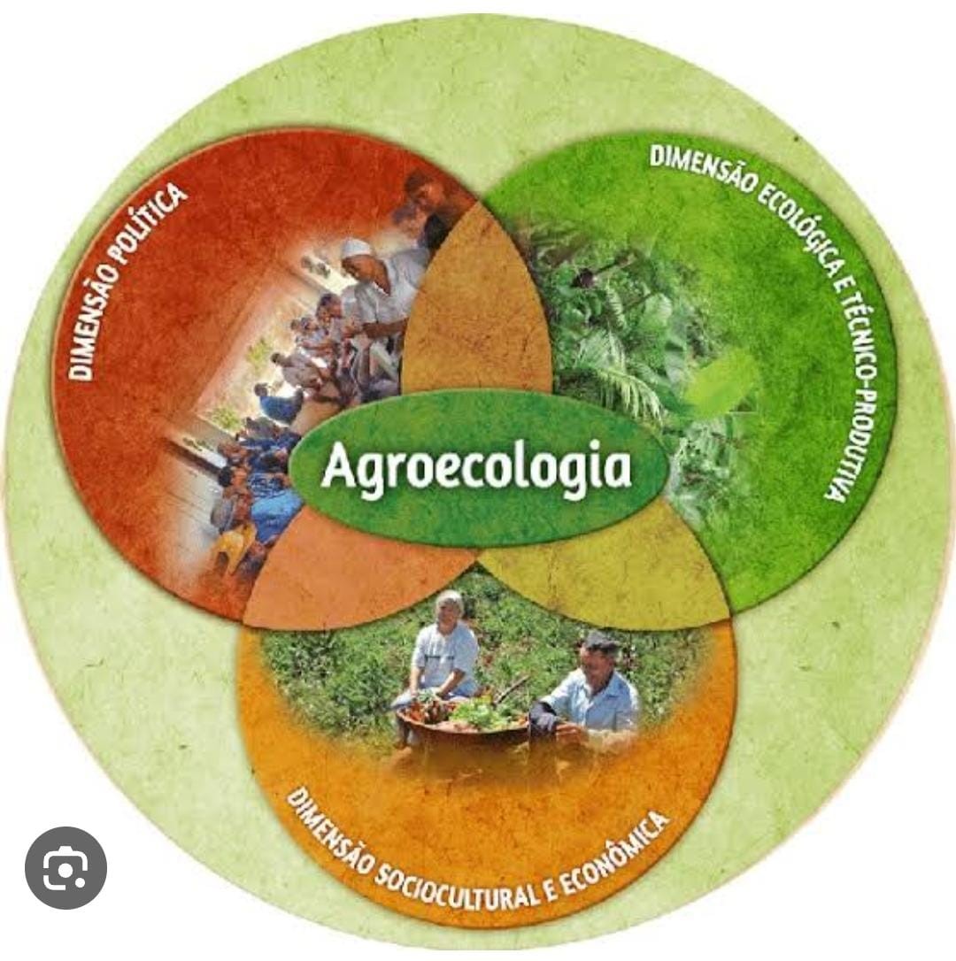005170 - Agroecologia - 2023/1:Bacharelado em Agronomia, Bacharelado, 7º Período, Turno Integral (2023)
