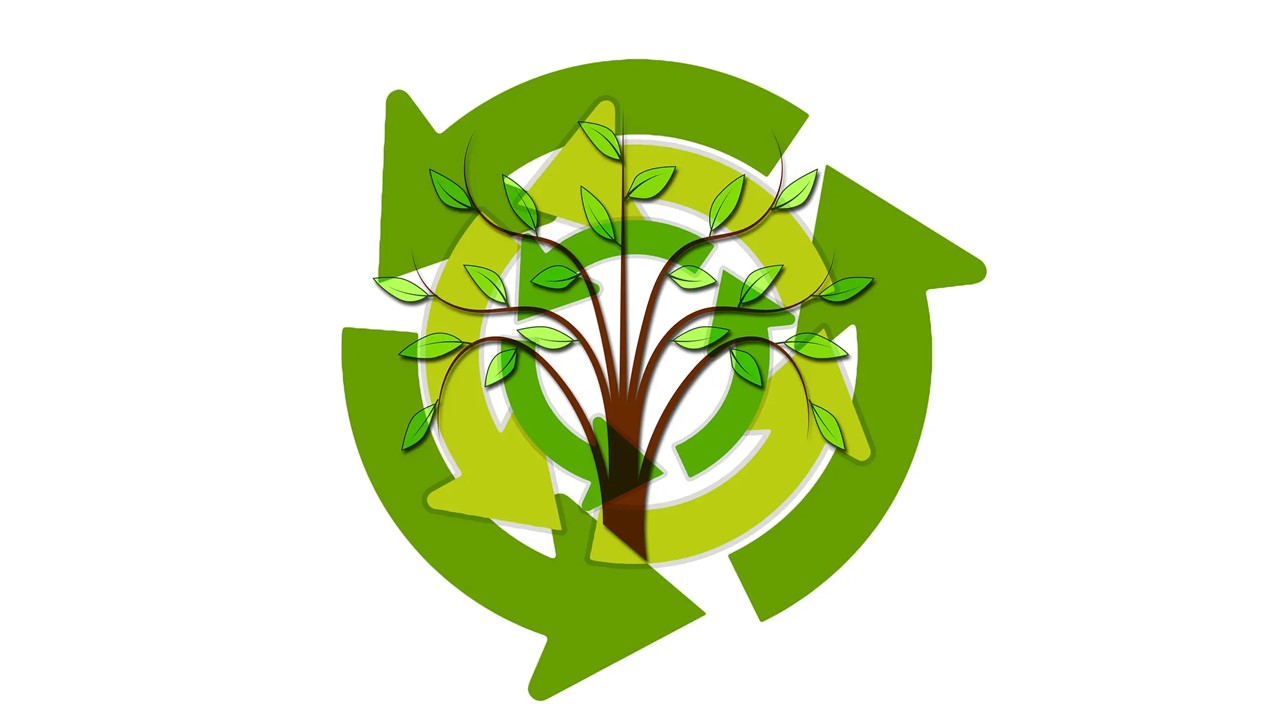 008814 - Gestão Ambiental - 2023/2:Bacharelado em Administração - Campus Ipameri, Bacharelado, 6º Período, Turno Noturno (2023)