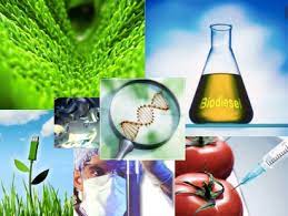 008831 - Bioquímica Agrícola - 2023/2:Curso Superior de Tecnologia em Horticultura, Tecnologia, 2º Período, Turno Diurno (2023)