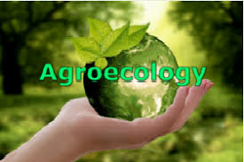008833 - Agroecologia - 2023/2:Curso Superior de Tecnologia em Horticultura, Tecnologia, 4º Período, Turno Diurno (2023)