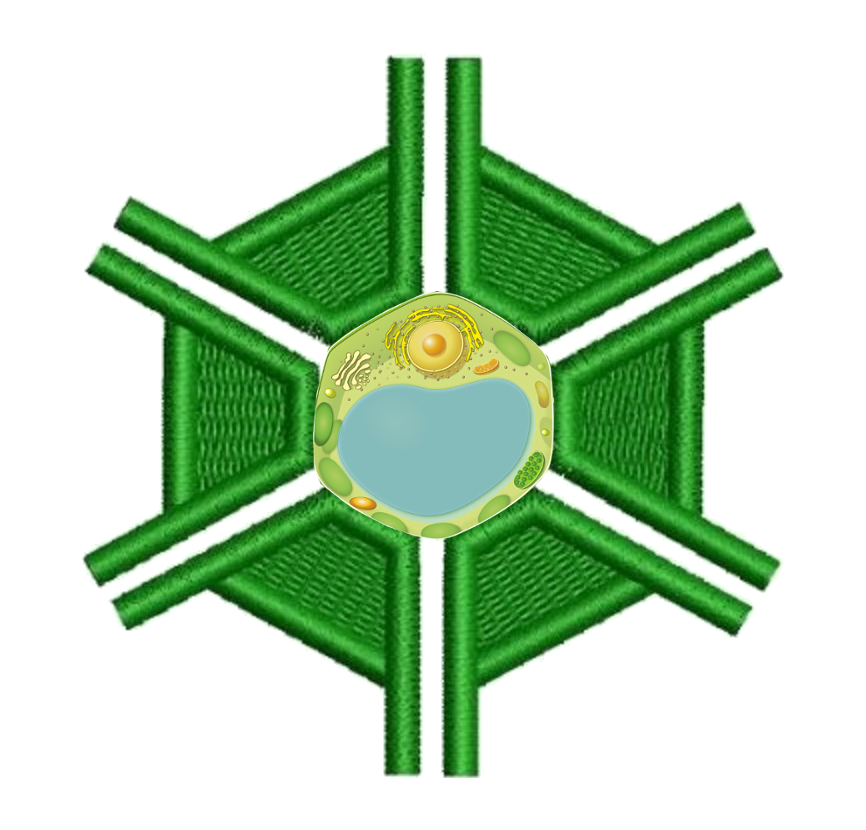 007998 - Anatomia e Morfologia Vegetal - 2023/2:Bacharelado em Agronomia, Bacharelado, 2º Período, Turno Integral (2023)