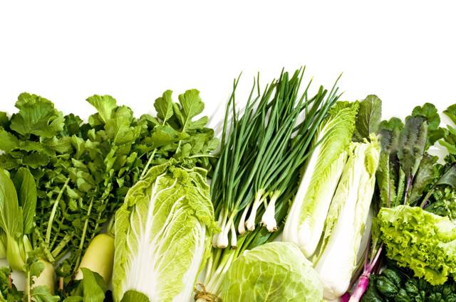 008836 - Olericultura Geral - 2023/2:Curso Superior de Tecnologia em Horticultura, Tecnologia, 4º Período, Turno Diurno (2023)