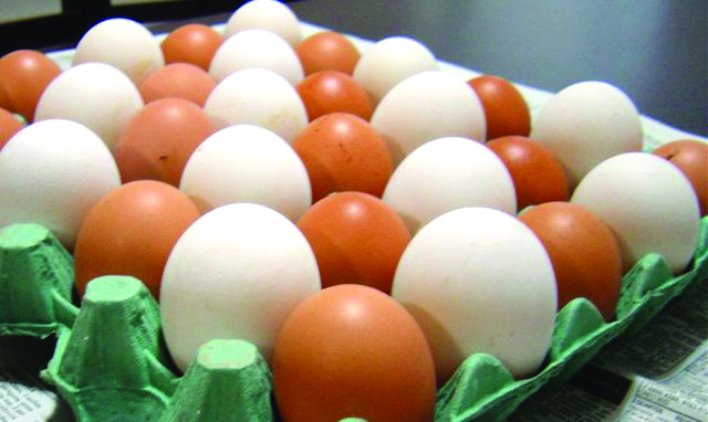 Bacharelado em Ciência e Tecnologia de Alimentos - Urutaí - 20211.01CTA20I.5V - 2021/1 ( 5º período ) - 160899 - Tecnologia de Ovos e Derivados