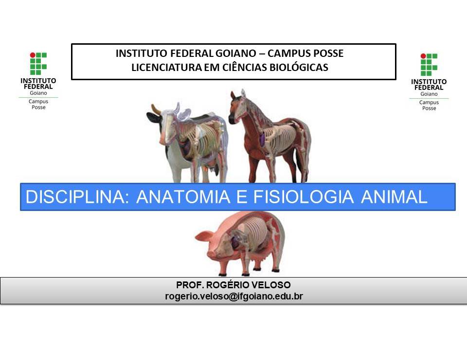 008093 - Fisiologia Animal - 2023/2:Licenciatura em Ciências Biológicas, Licenciatura, 8º Período, Turno Noturno (2023)