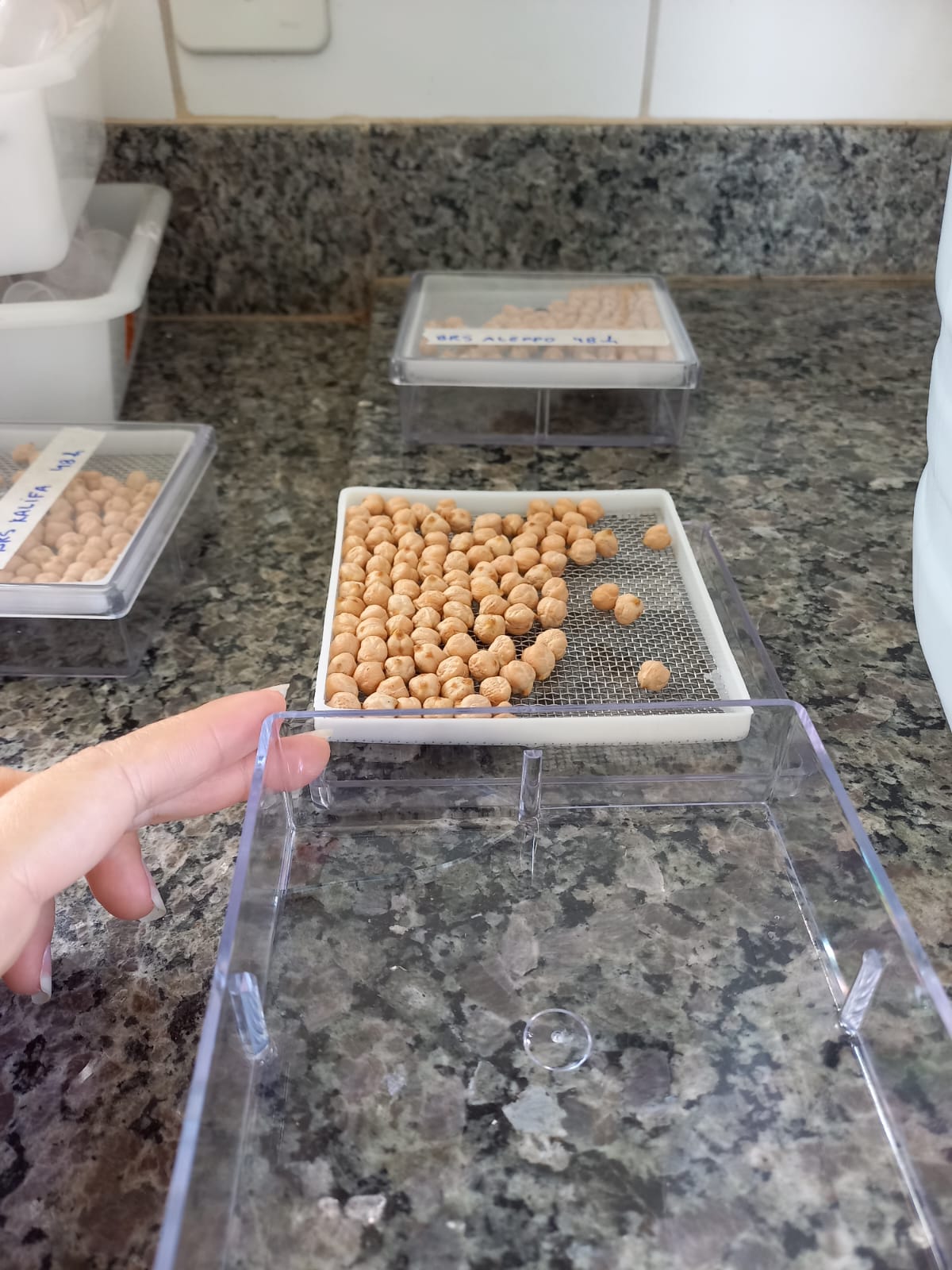 009395 - Tópicos Especiais III - 2023/2:Mestrado Profissional em Olericultura, Mestrado, 2º Período, Turno Diurno (2023)