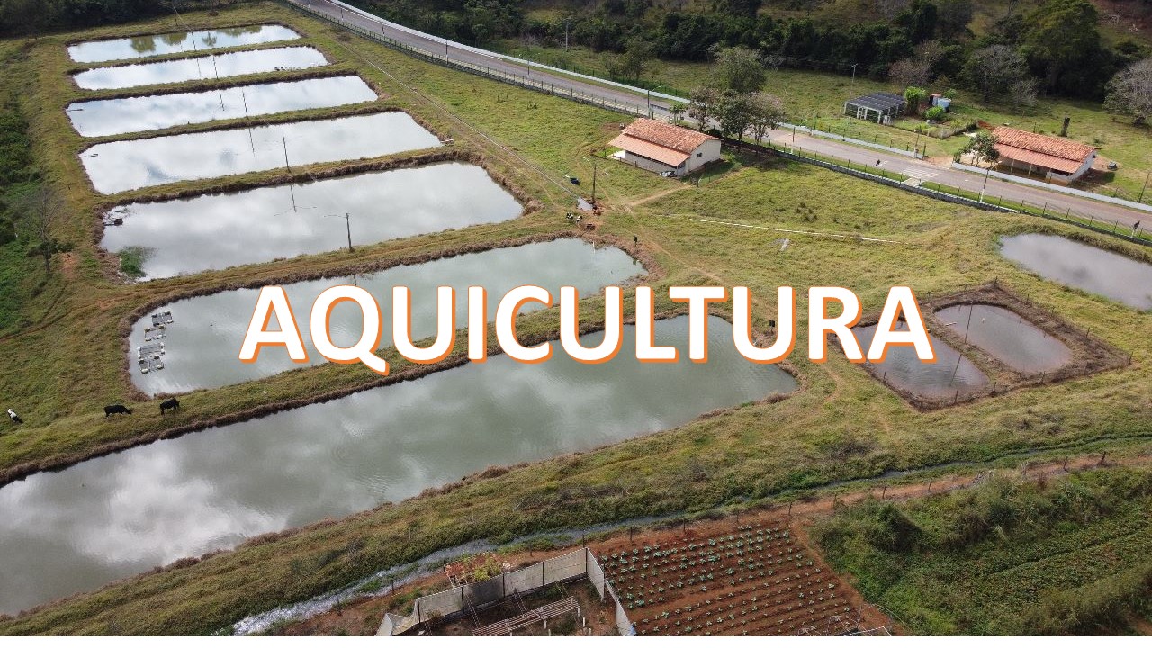 008225 - Aquicultura - 2023/2:Técnico em Agropecuária, Técnico Concomitante, 2º Período, Turno Vespertino (2023)