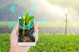 011098 - Marketing e Comercialização - 2024/1:Superior de Tecnologia em Horticultura, Tecnologia, 5º Período, Turno Integral (2024)