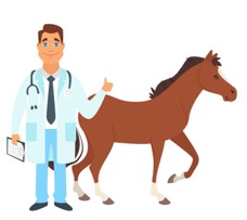 Bacharelado em Medicina Veterinária - Urutaí - 20211.01VET20I.7 - 2021/1 ( 7º período ) - 160674 - Clínica Cirúrgica de Grandes Animais