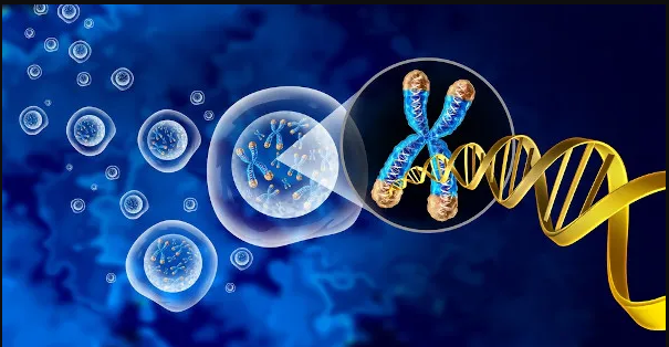 010883 - Genética - 2024/1:Licenciatura em Ciências Biológicas, Licenciatura, 5º Período, Turno Noturno (2024)