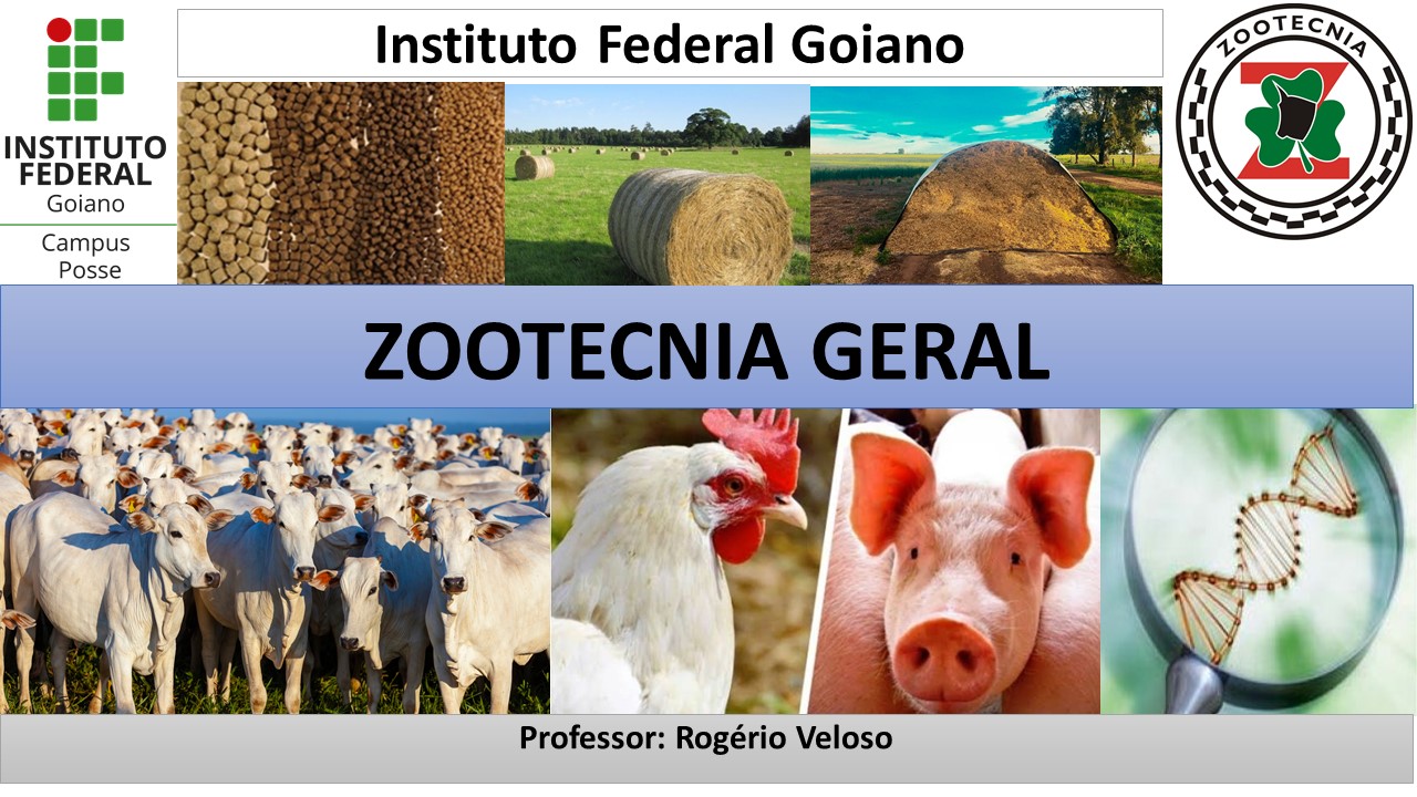 012674 - Zootecnia Geral - 2024/1:Técnico em Agropecuária, Técnico Concomitante, 1º Período, Turno Matutino (2024)