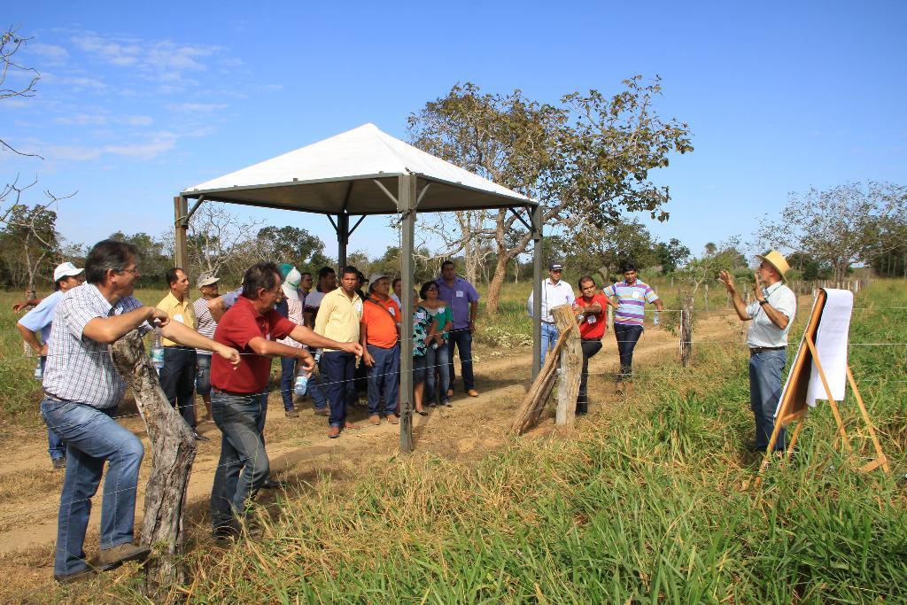 011096 - Sociologia e Extensão Rural - 2024/1:Superior de Tecnologia em Horticultura, Tecnologia, 5º Período, Turno Integral (2024)