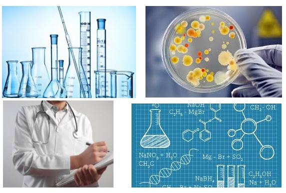 010997 - Técnicas de Laboratório e Otimização de Experimentos - 2024/1:Técnico em Alimentos, Subsequente, 1º Período, Turno Noturno (2024)