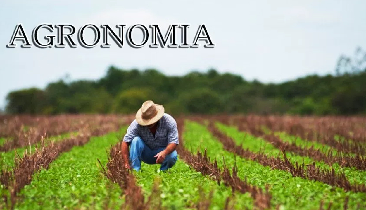 011051 - Introdução à Agronomia - 2024/1:Bacharelado em Agronomia, Bacharelado, 1º Período, Turno Integral (2024)