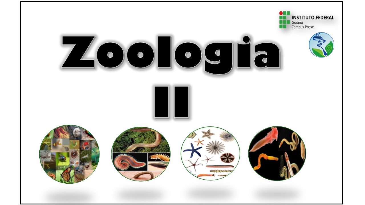 012562 - Zoologia II - 2024/1:Licenciatura em Ciências Biológicas, Licenciatura, 5º Período, Turno Noturno (2024)