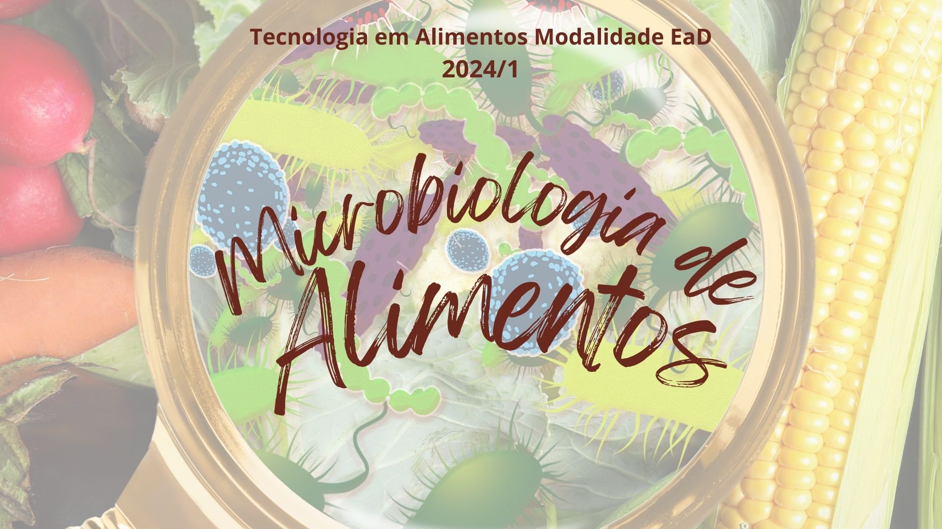 013546 - [MO.TAL3] Microbiologia de Alimentos - 2024/1:Superior de Tecnologia em Alimentos, Tecnologia, 3º Período, Turno Noturno (2024)