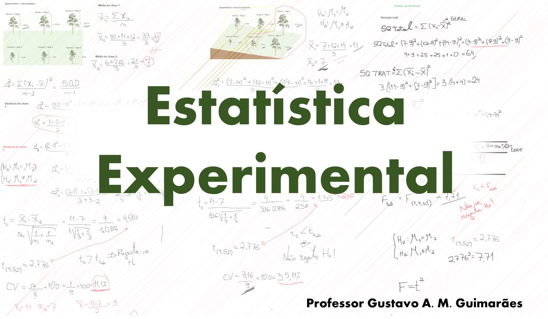 012356 - Estatística Experimental - 2024/1:Bacharelado em Agronomia, Bacharelado, 3º Período, Turno Integral (2024)