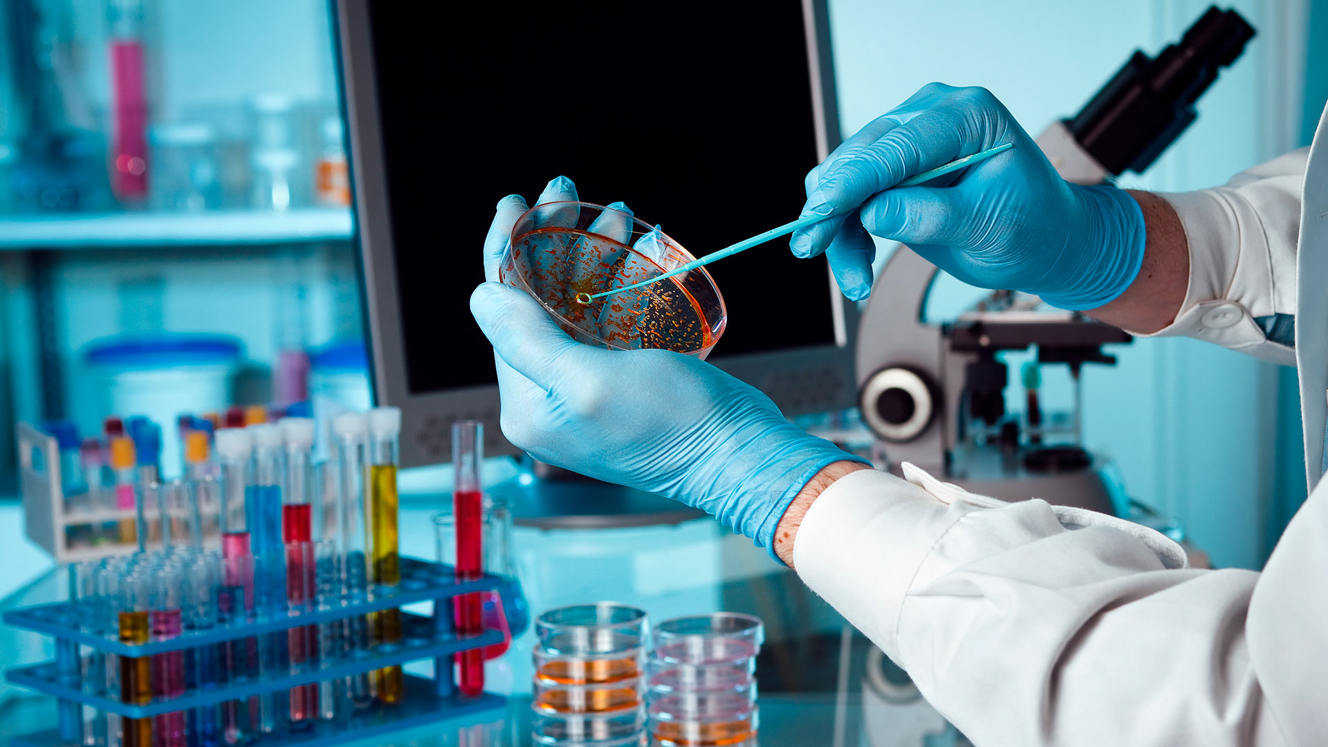 011279 - [MO.2ZOO3] Microbiologia - 2024/1:Bacharelado em Zootecnia, Bacharelado, 3º Período, Turno Integral (2024)