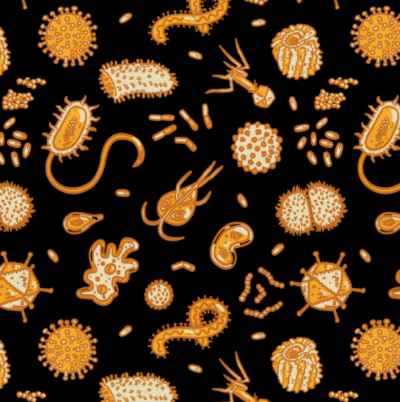 Microbiologia e Genética Microbiana 2021/2 3A