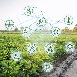 Bacharelado em Agronomia - Urutaí - 20211.01AGR20I.1 - 2021/1 ( 1º período ) - 160620 - Quimica Geral