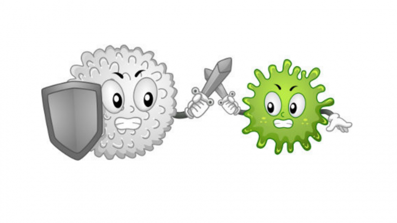 014872 - Imunologia - 2024/2:Bacharelado em Ciências Biológicas, Bacharelado, 6º Período, Turno Vespertino (2024)