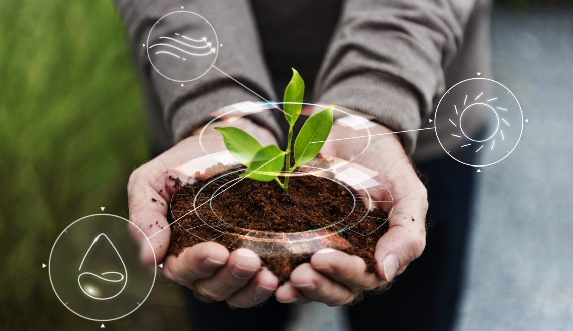 015801 - Administração Rural - 2024/2:Bacharelado em Agronomia, Bacharelado, 8º Período, Turno Integral (2024)